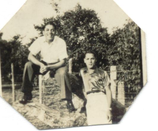 papai-02.jpg